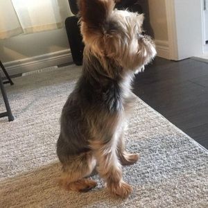 Meet your Posher, Stacey